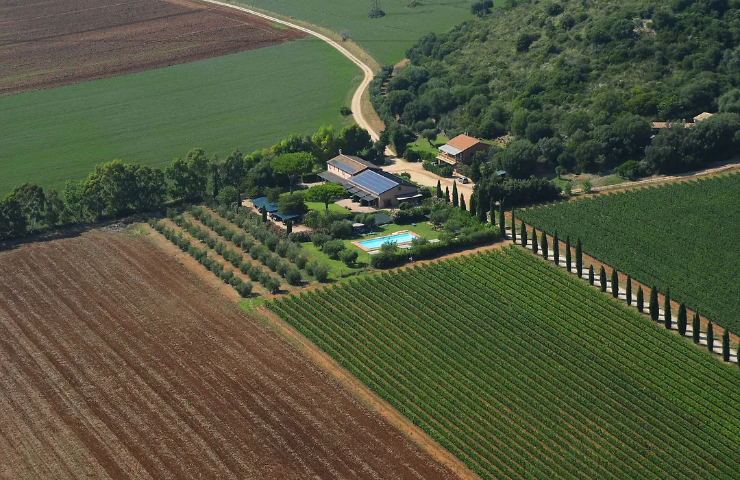 Agriturismo Fattoria Il Casalone-1